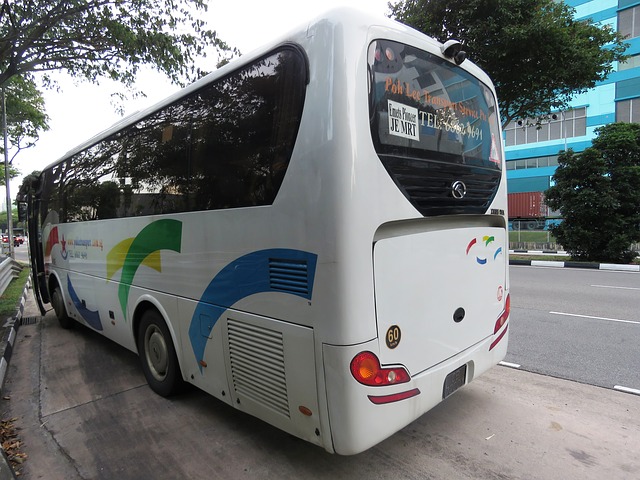 Wynajem busów na różne wydarzenia i okazje